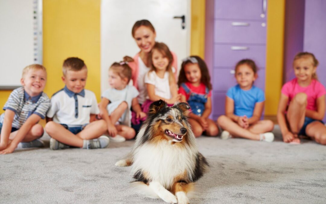 The Rise of Therapy Dogs in Schools: Changing the Classroom Dynamic