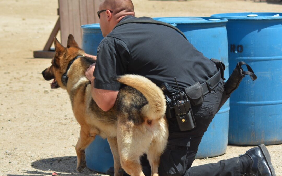 Police Dogs: Partners in Crime Prevention and Public Safety