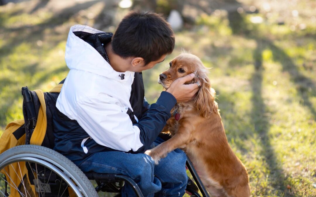 Therapy Dogs: Bringing Comfort, Joy, and Healing Introduction