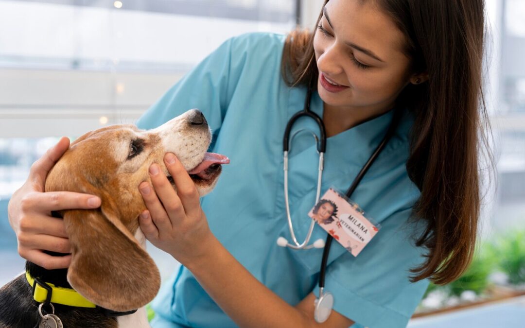 Preventing Common Health Issues in Dogs