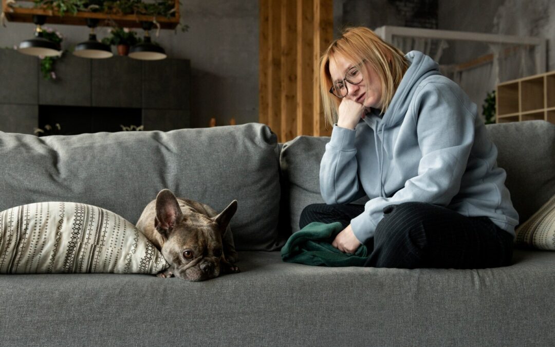 Keeping Your Dog’s Mental Health in Check