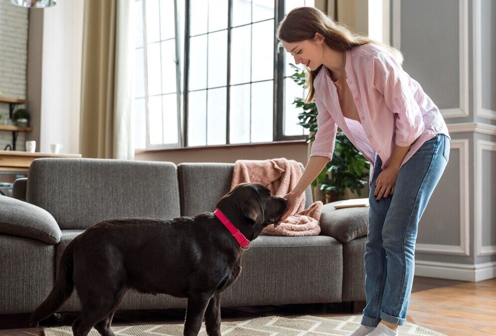 Housetraining Your Puppy: Step-by-Step Guide