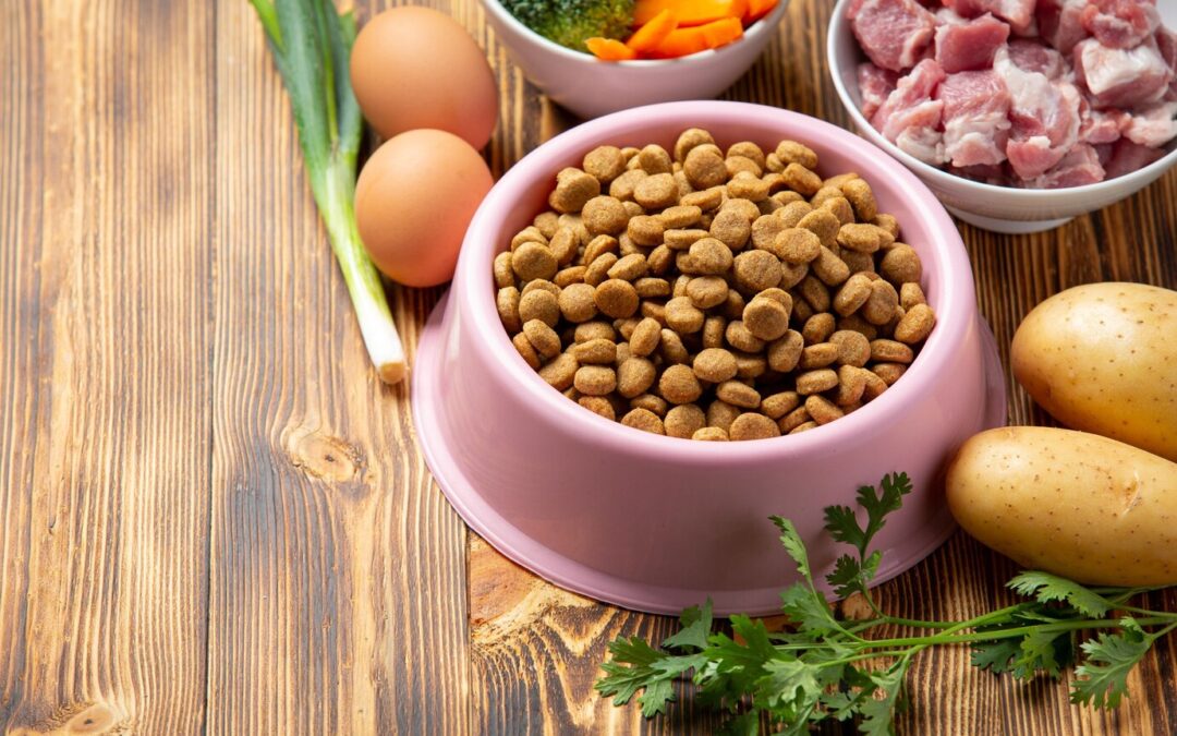 Top 5 dog food ingredients to avoid and what to look for