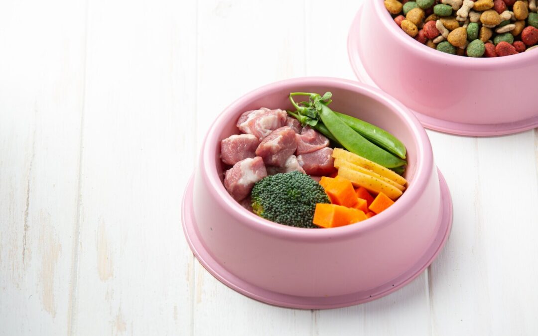 Homemade dog food vs commercial dog food: Which is better?