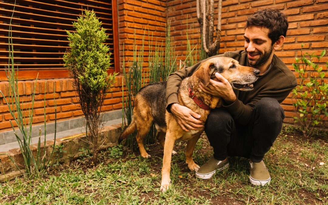 How to Prepare Your Home for a Rescue Dog