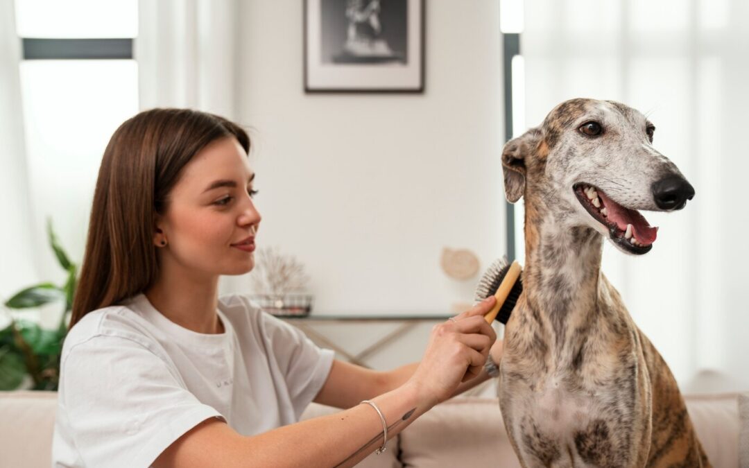 Essential Tools for At-Home Dog Grooming