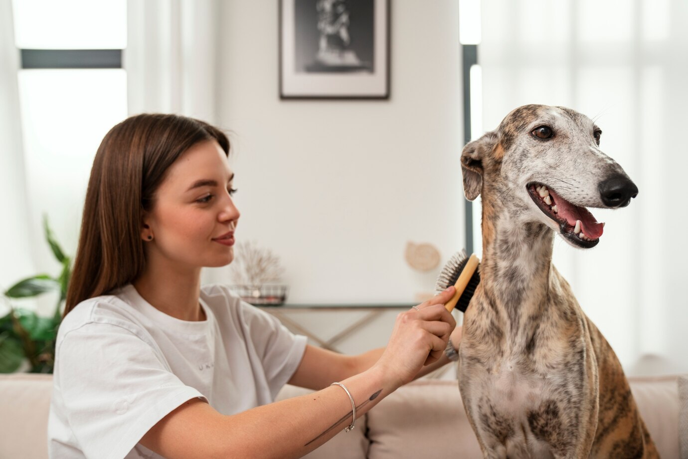 Medium Shot Woman Brushing Dog 23 2149930237
