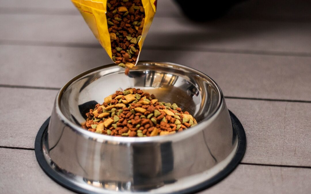 How to choose the best dog food for your pet’s health