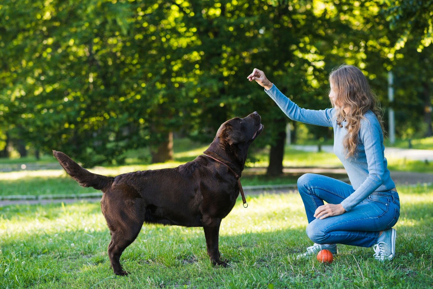 Side View Woman Playing With Her Dog Park 23 2147902234
