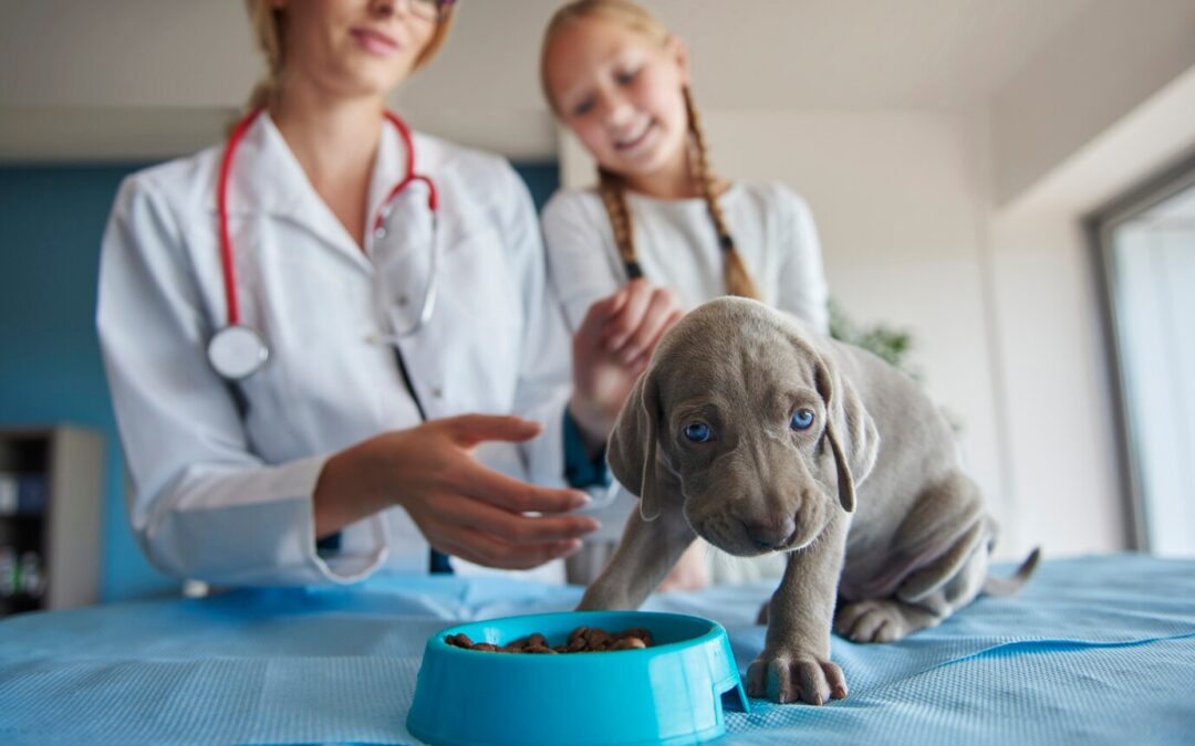 Recognizing and Addressing Common Puppy Health Issues