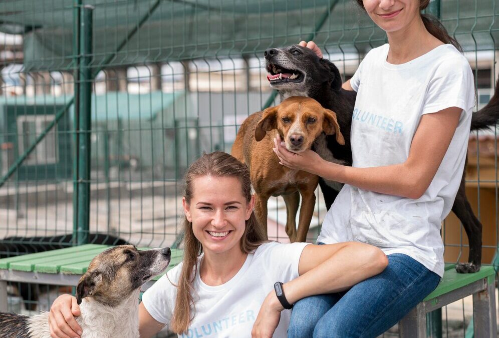 How to Support Local Dog Rescue Efforts