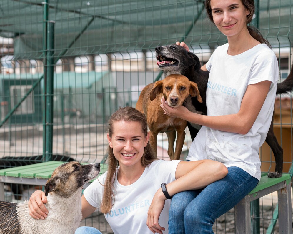 Smiley Woman Spending Time With Cute Rescue Dogs Shelter 23 2148682966