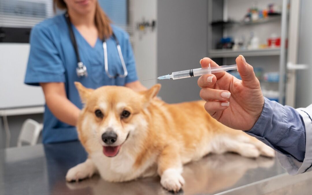 Essential Vaccines for Puppies: What You Need to Know