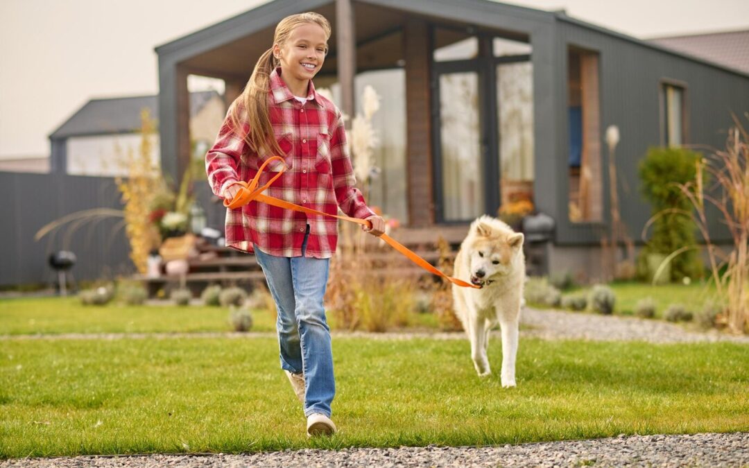 Fun Backyard Activities to Introduce Your Dog to Sports