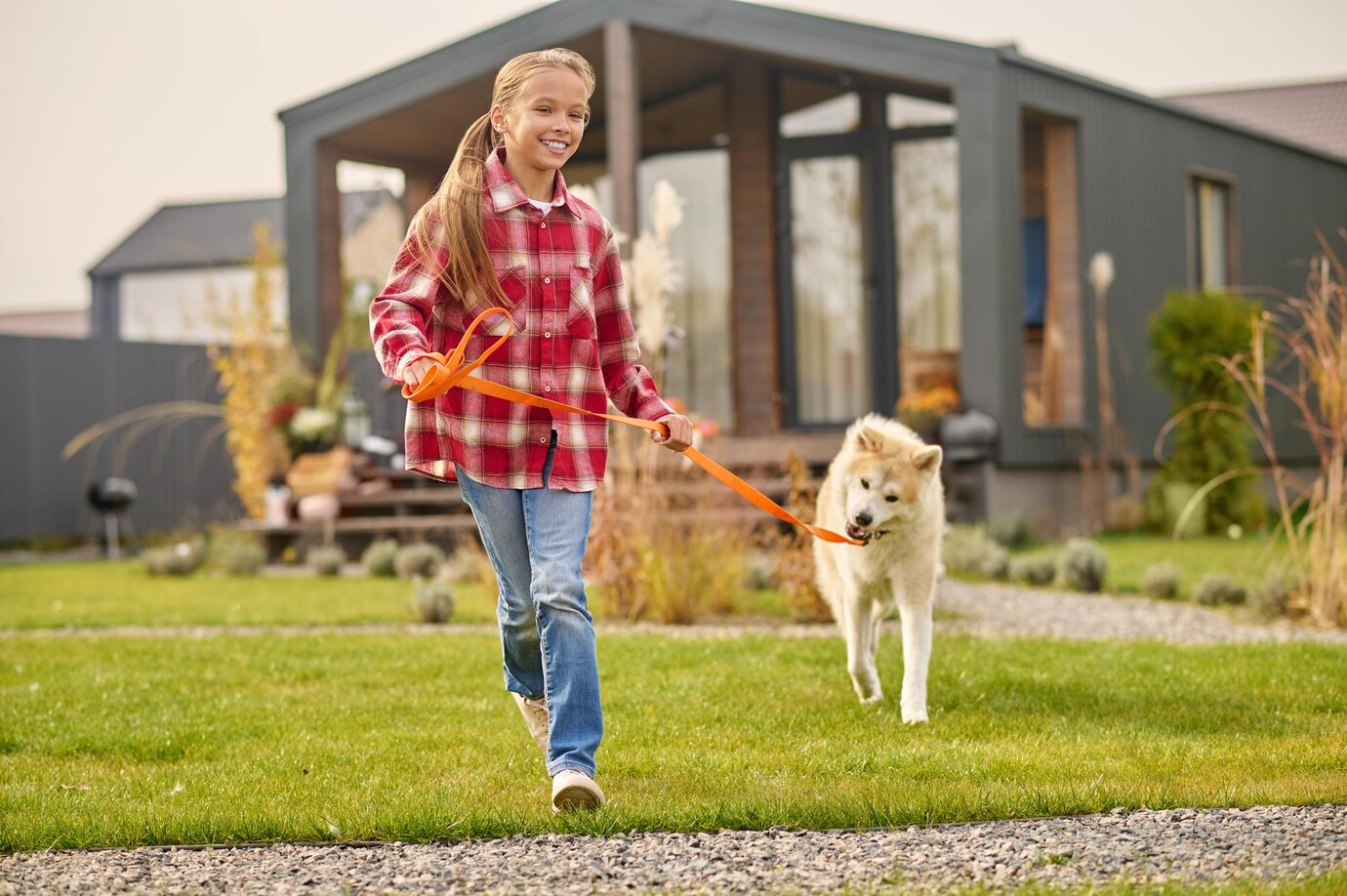 Walking With Dog Happy Cute Long Haired School Age Girl Casual Clothes Running With Shiba Inu Dog Leash Lawn Near Country House Fine Day 259150 58451