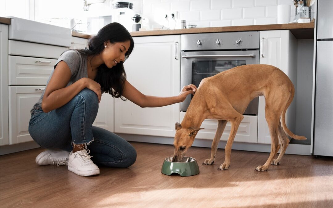 How to ensure your puppy gets the right nutrition for growth