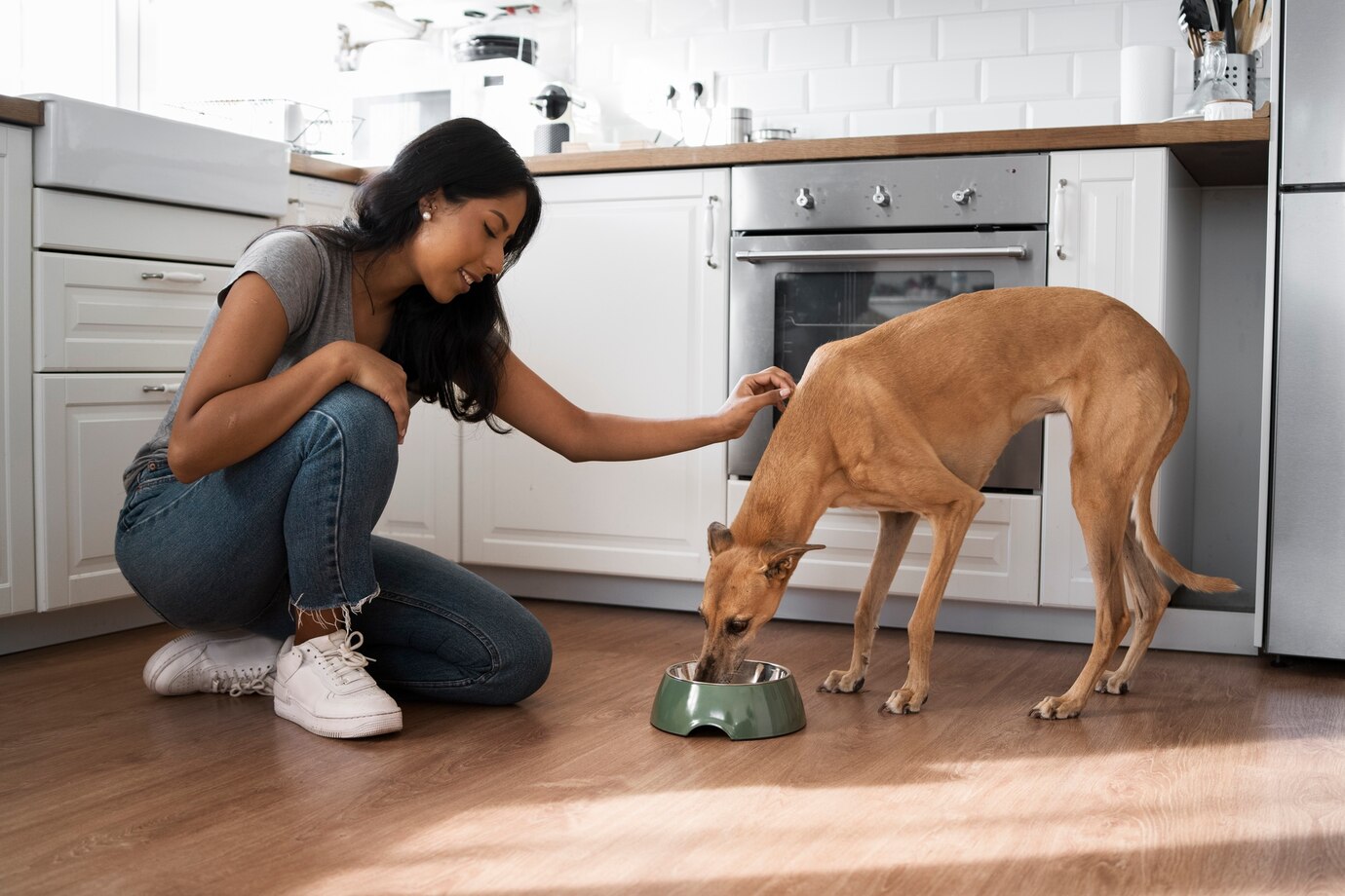 Woman Feeding Dog Side View 23 2149901529