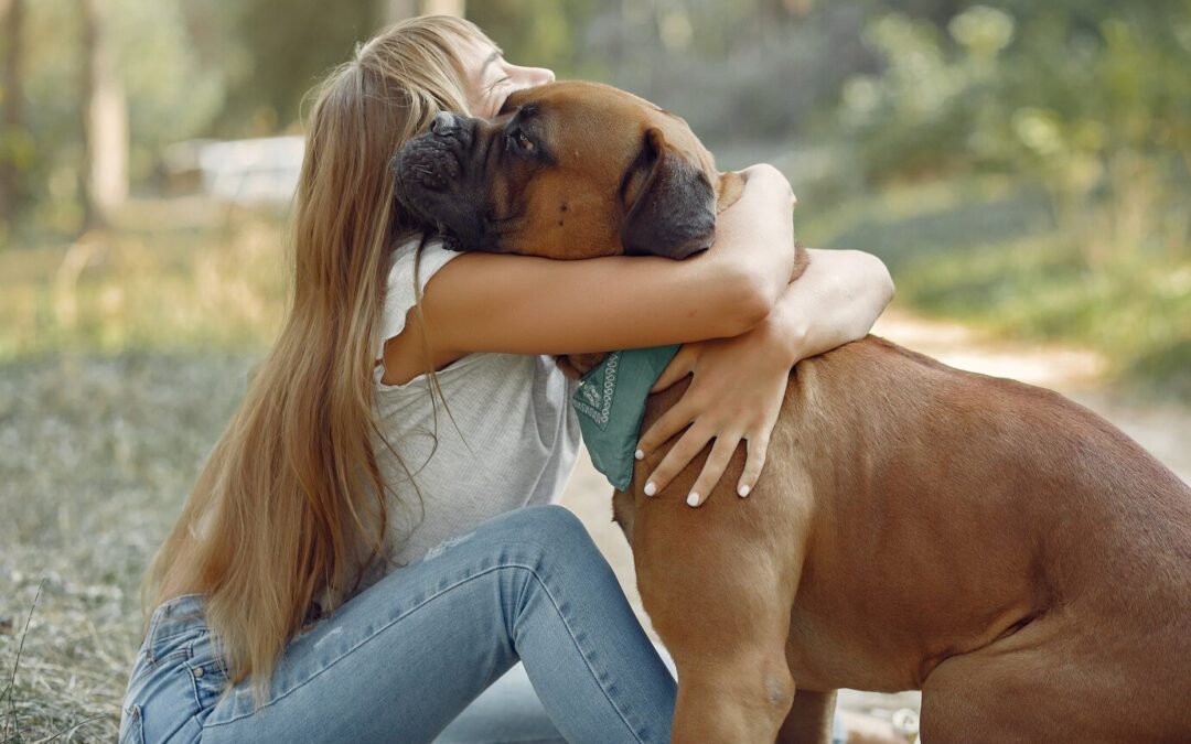 Understanding the Emotional Needs of Adopted Dogs