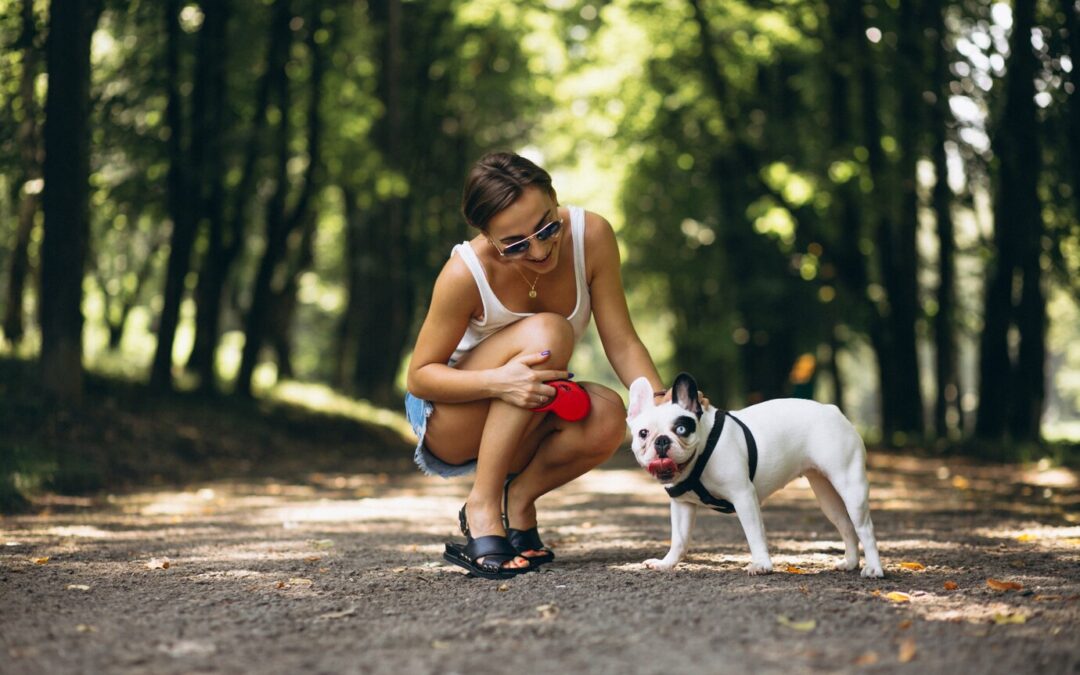 Understanding the Role of Teamwork in Dog Sports