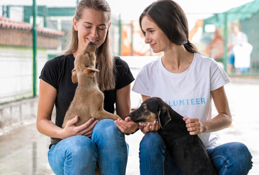 How to Socialize Your Dog for Better Behavior