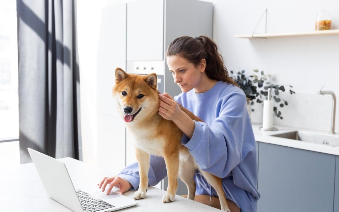 The Importance of Regular Vet Checkups