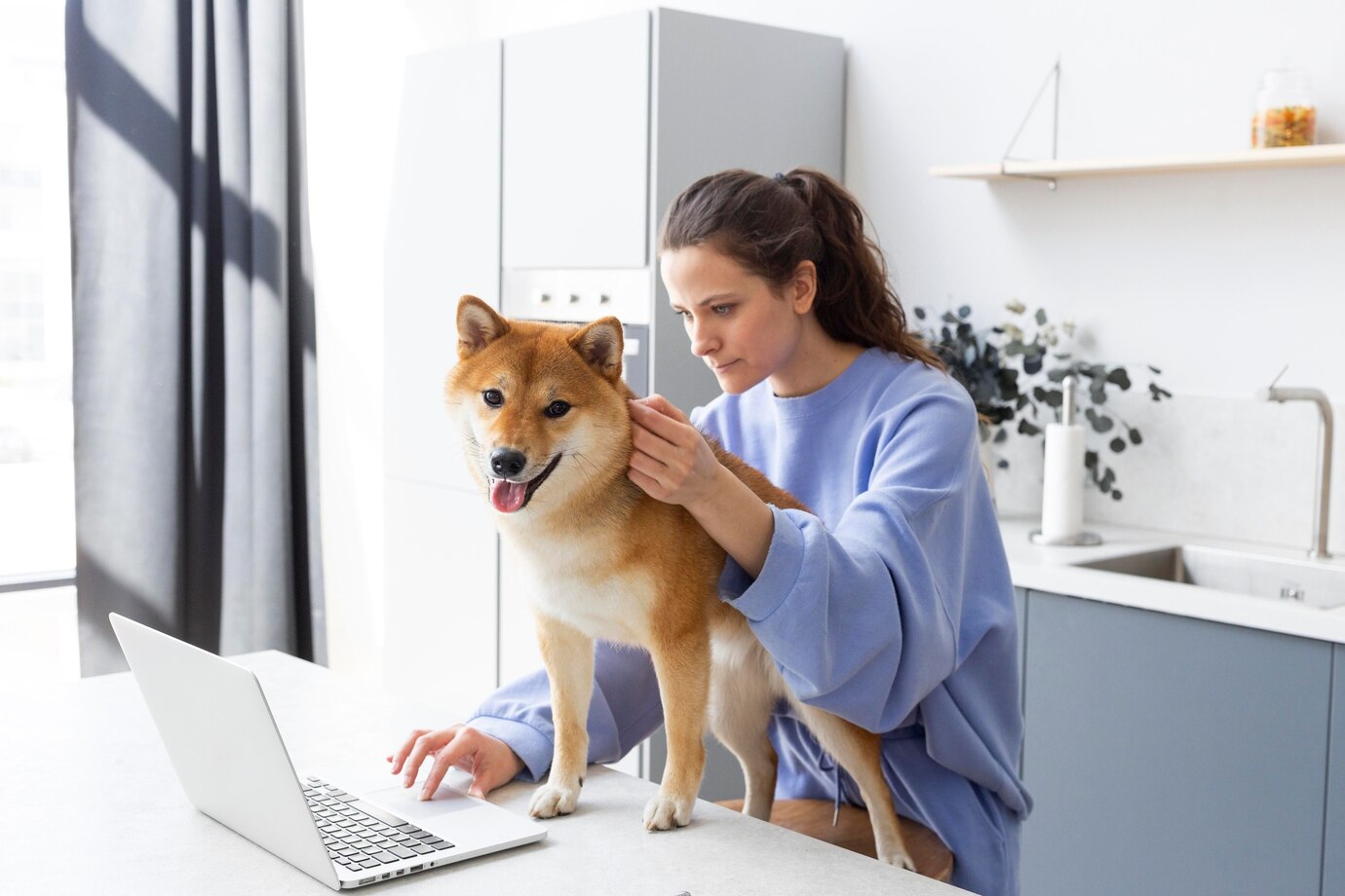 Young Woman Trying Work While Her Dog Is Distracting Her 23 2148991898