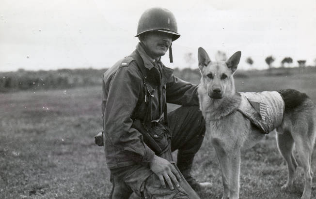 Dogs and Their Heroes: Dogs That Served in War: True stories of service dogs and their heroic acts during wartime.