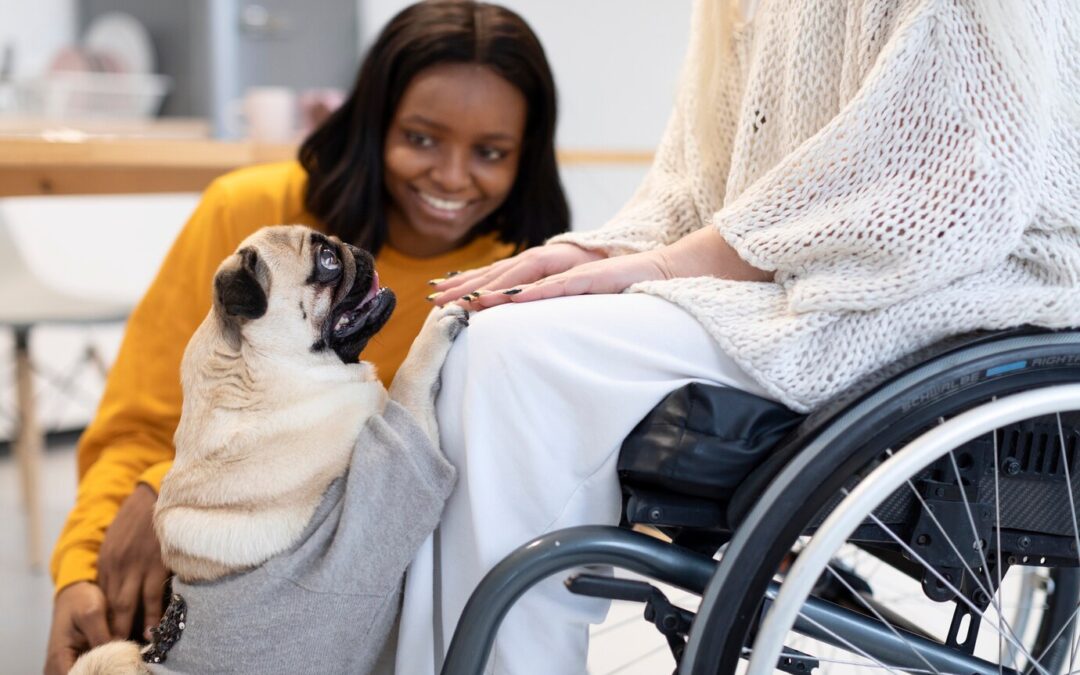 Therapy Dogs That Changed Lives: Real-life stories of dogs making a difference in people’s mental health.