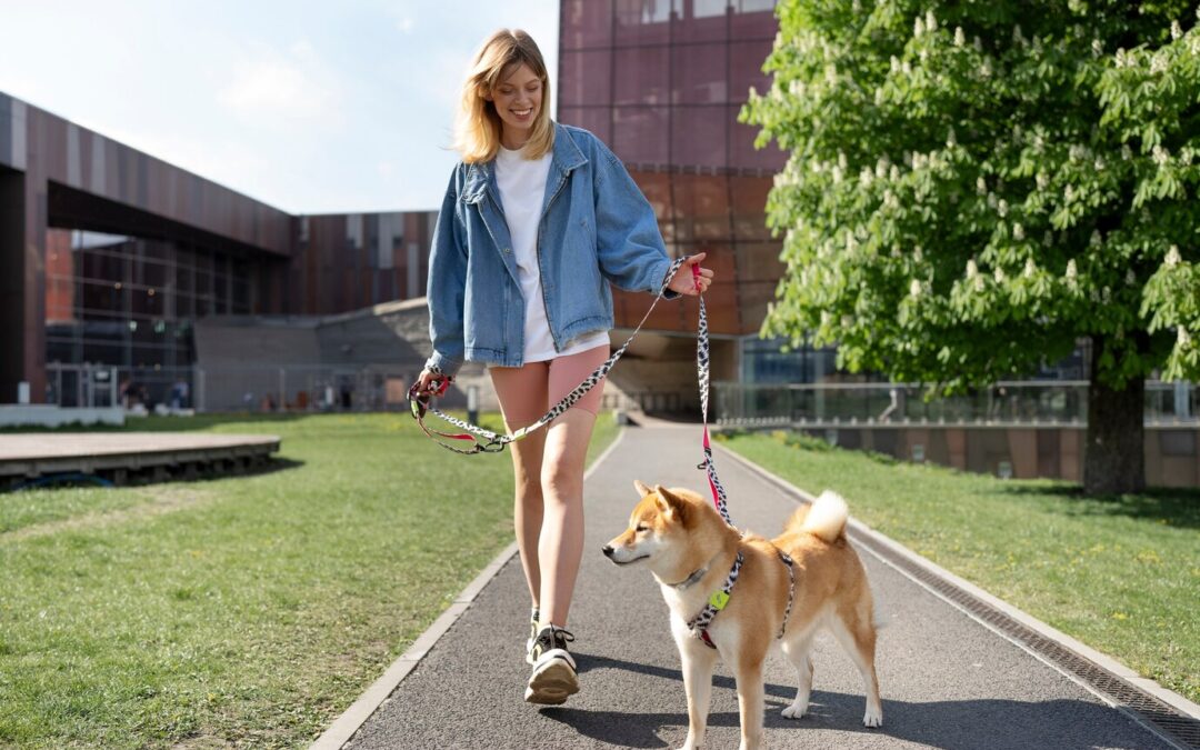 A Guide to Dog Leashes: Exploring types of leashes for every need.