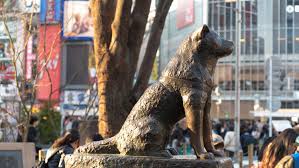 The Story of Hachiko: The Dog Who Waited: The true tale of a dog’s loyalty that touched the world.
