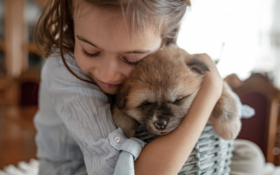 Adopting a Dog: Legal Steps and Responsibilities: What to know before adopting a dog from shelters.