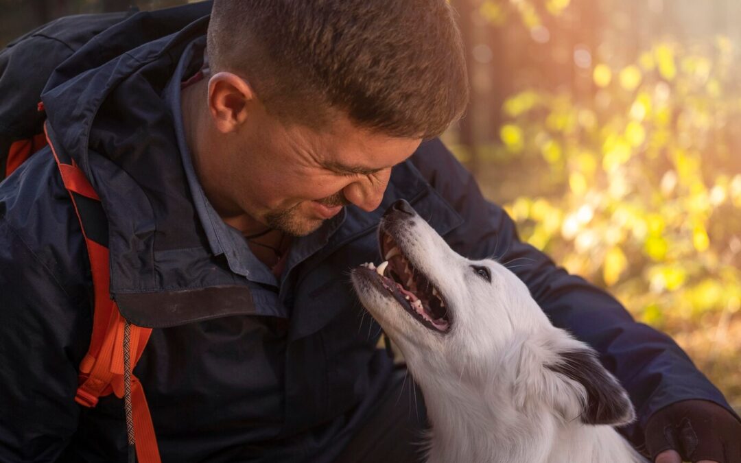 The Brave Dog That Stood by Its Owner in a Crisis: A true tale of a dog’s bravery when its owner faced an emergency.