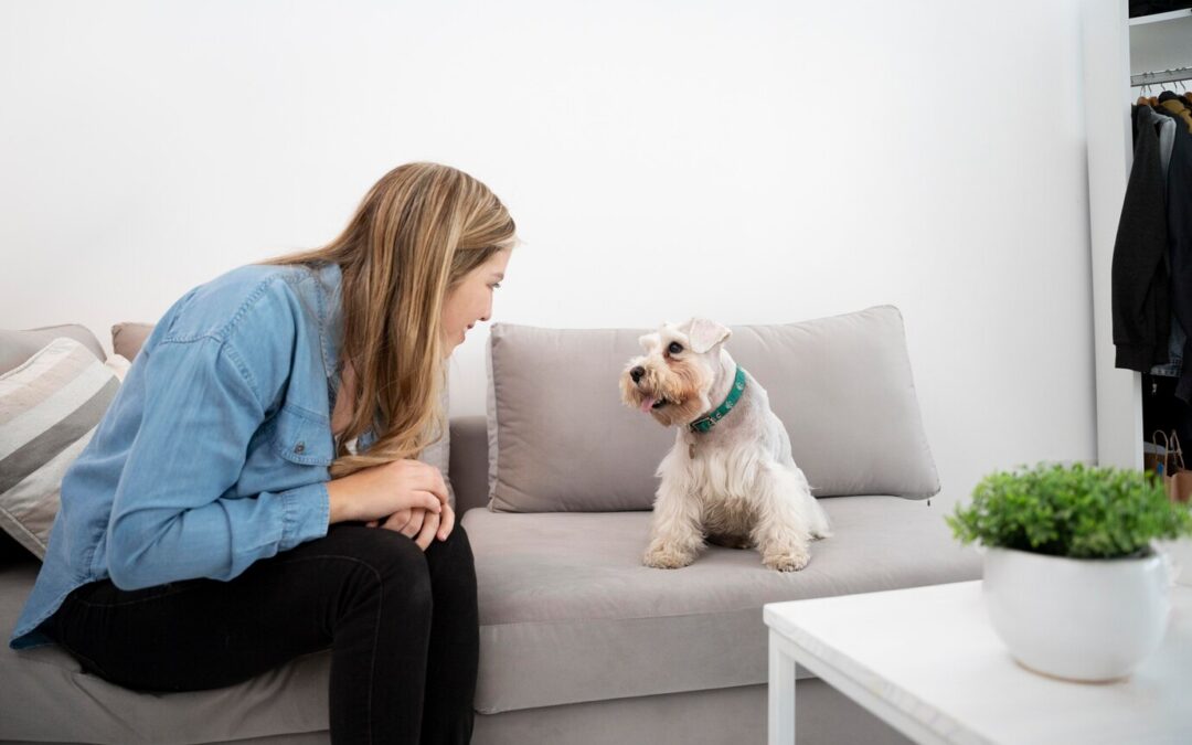 Pet Custody and Divorce: How pets are handled in divorce settlements.