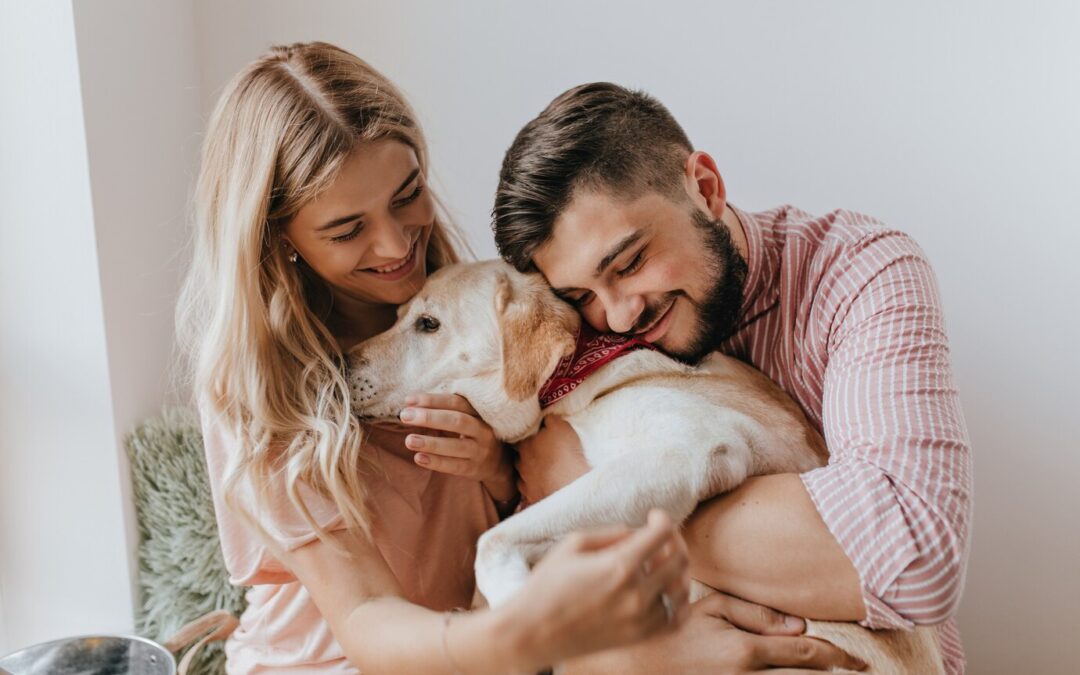 The Dog That Found a New Family After Abuse: A powerful story of a dog’s recovery from abuse and finding a forever home.