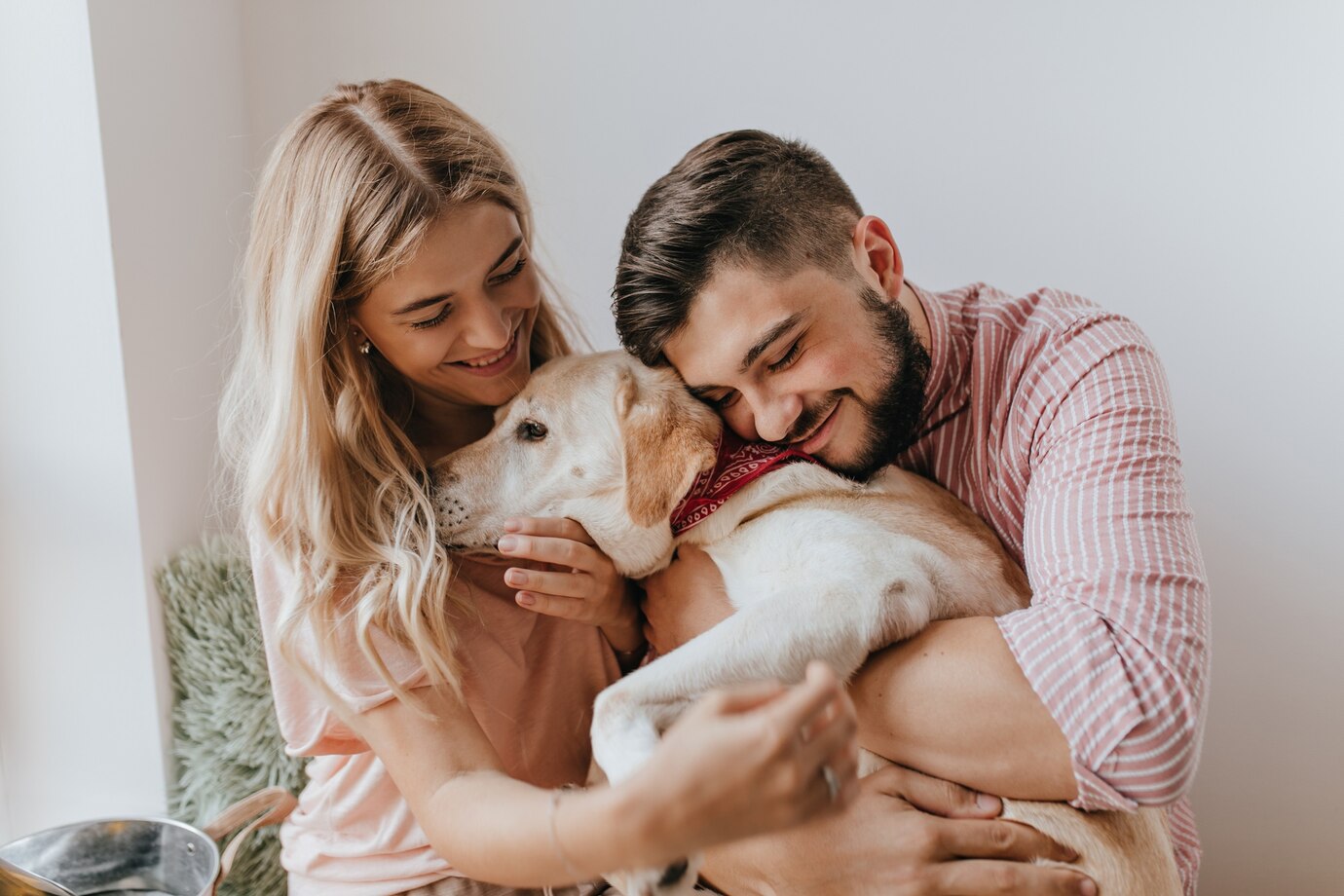 Positive Husband Wife Play With Dog Man Striped Shirt Hugs Labrador With Tenderness 197531 13723