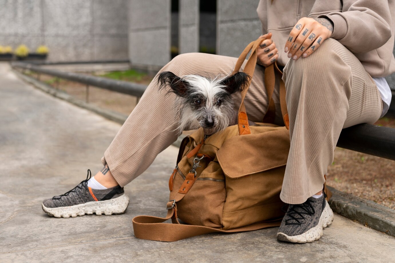 Side View Woman Carrying Dog Bag 52683 123645